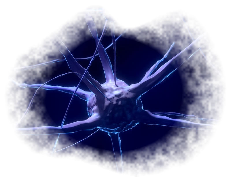 Neuroathletik
