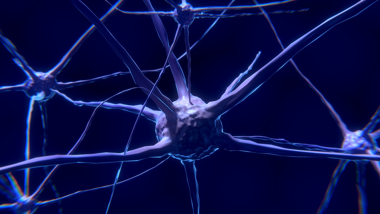 Neuroathletik